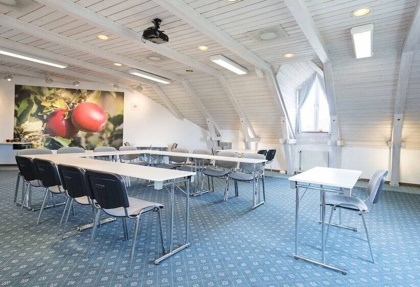 בית מלון כפרי Ekerum Resort Oland