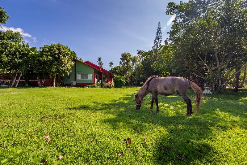 فندق Fisherman Way Beach Villa