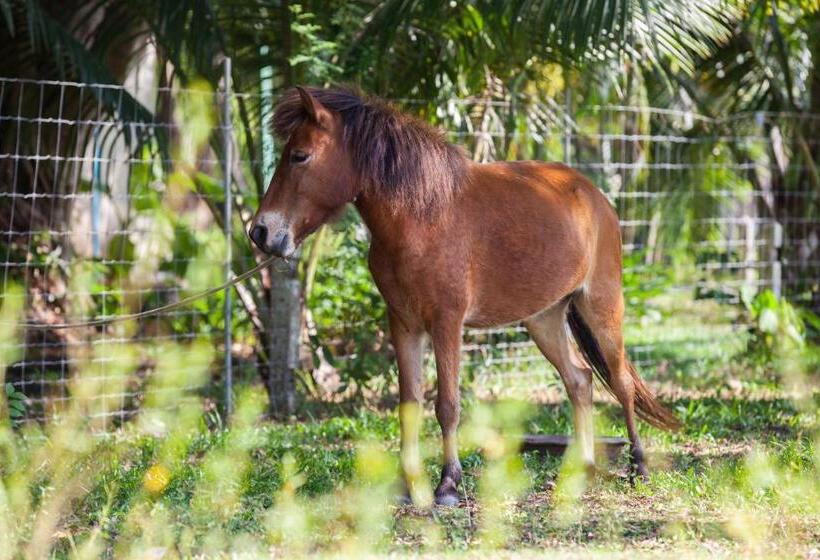 فندق Fisherman Way Beach Villa