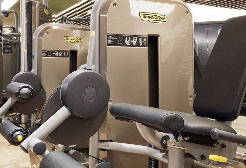 Hotel Four Points By Sheraton Seoul, Gangnam