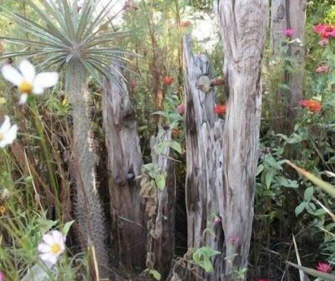 Отель Glenda's Guest Suites