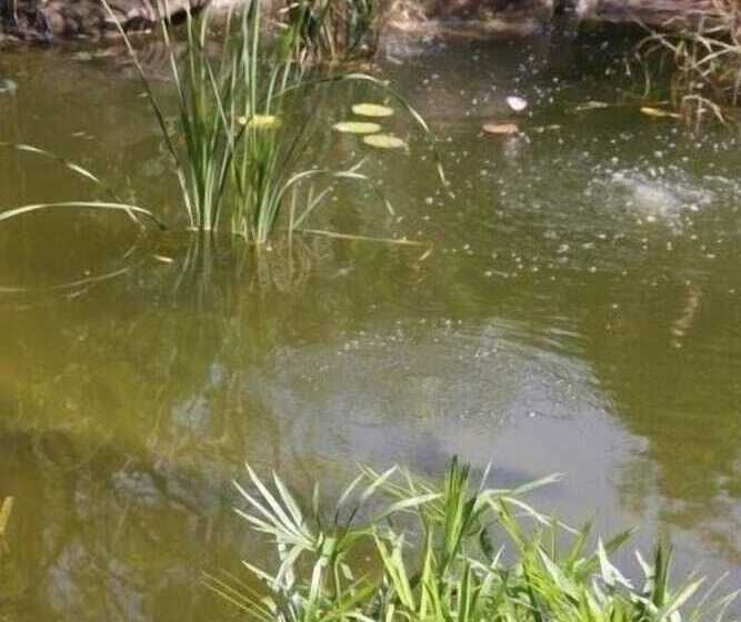 Отель Glenda's Guest Suites