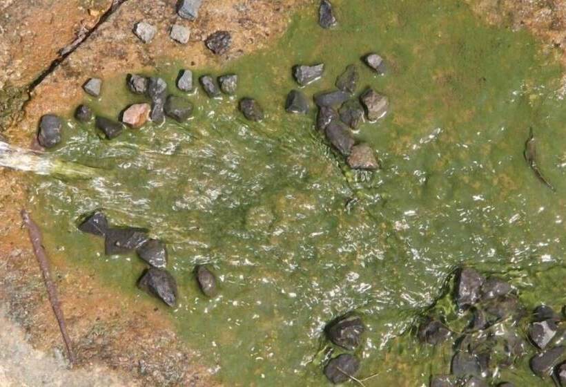 Отель Glenda's Guest Suites