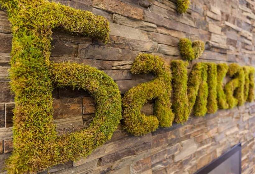 בית מלון כפרי Grand Baikal