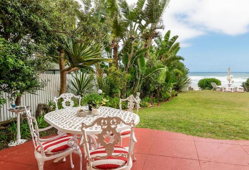 酒店 Haus Am Strand On The Beach