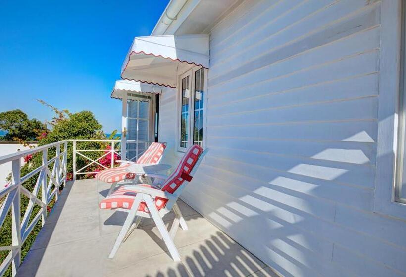 酒店 Haus Am Strand On The Beach