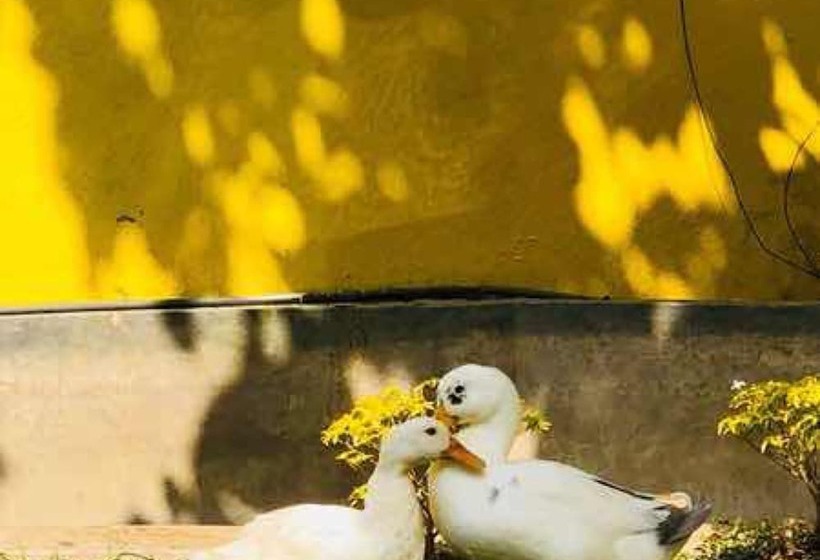 فندق Hiding Unawatuna