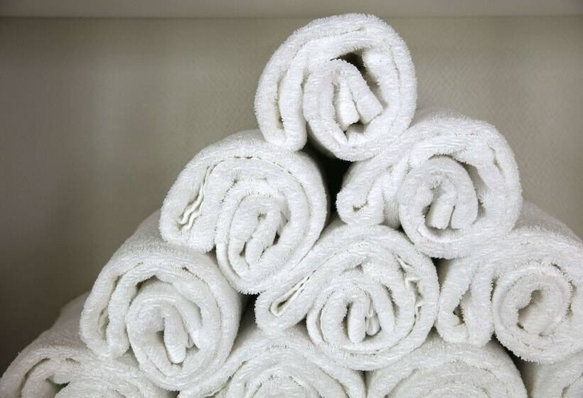 هتل Hilton Garden Inn Bordeaux Centre