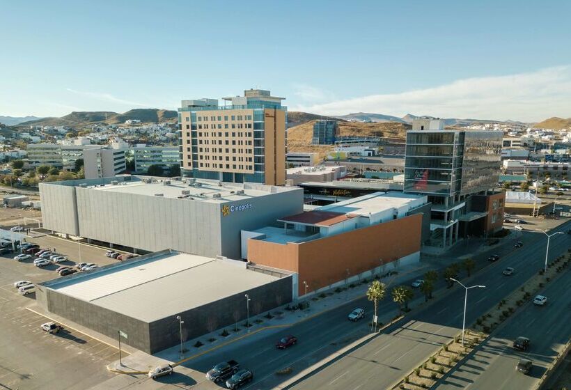 هتل Hilton Garden Inn Chihuahua