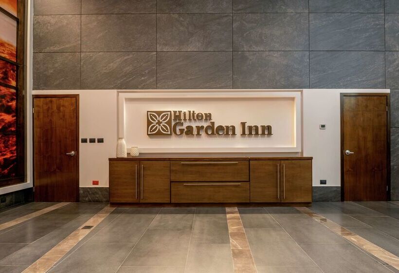 هتل Hilton Garden Inn Chihuahua
