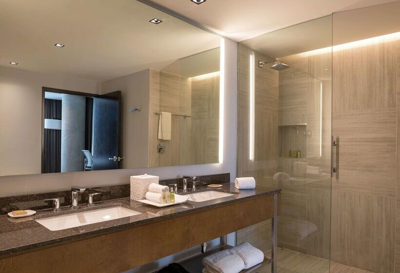 هتل Hilton Garden Inn Chihuahua