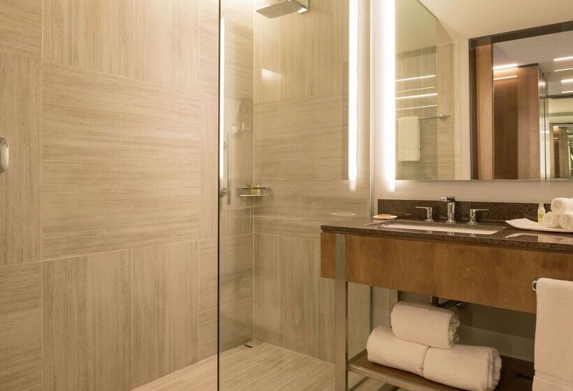 هتل Hilton Garden Inn Chihuahua