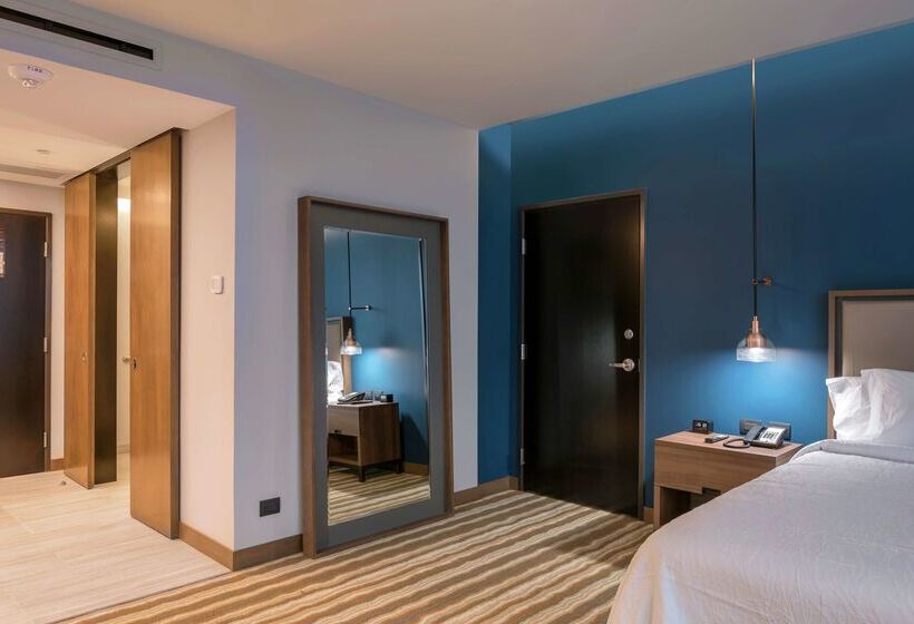 هتل Hilton Garden Inn Chihuahua