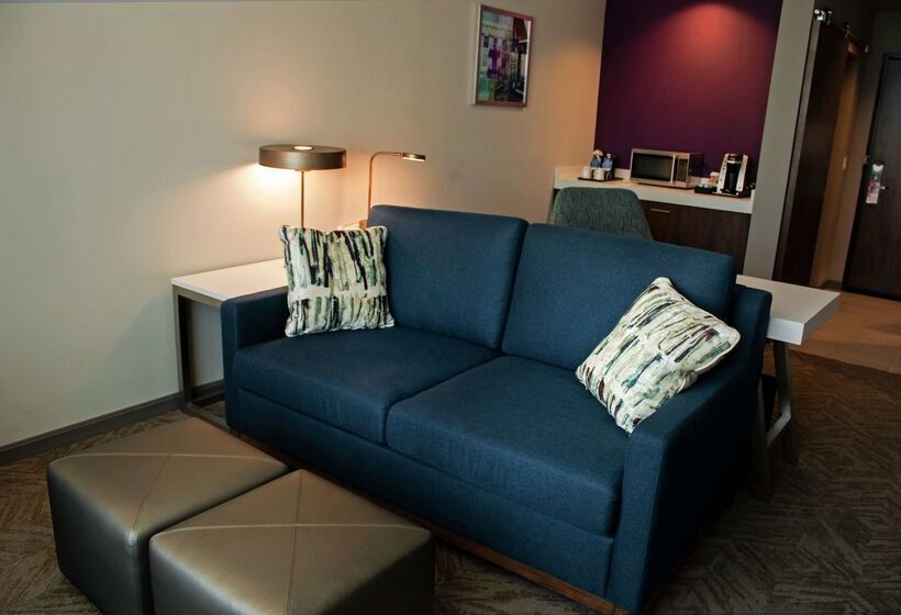 בית מלון כפרי Hilton Garden Inn Dallas  At Hurst Conference Center