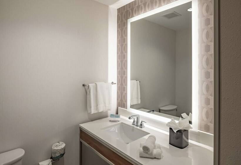 בית מלון כפרי Hilton Garden Inn Dallas  At Hurst Conference Center