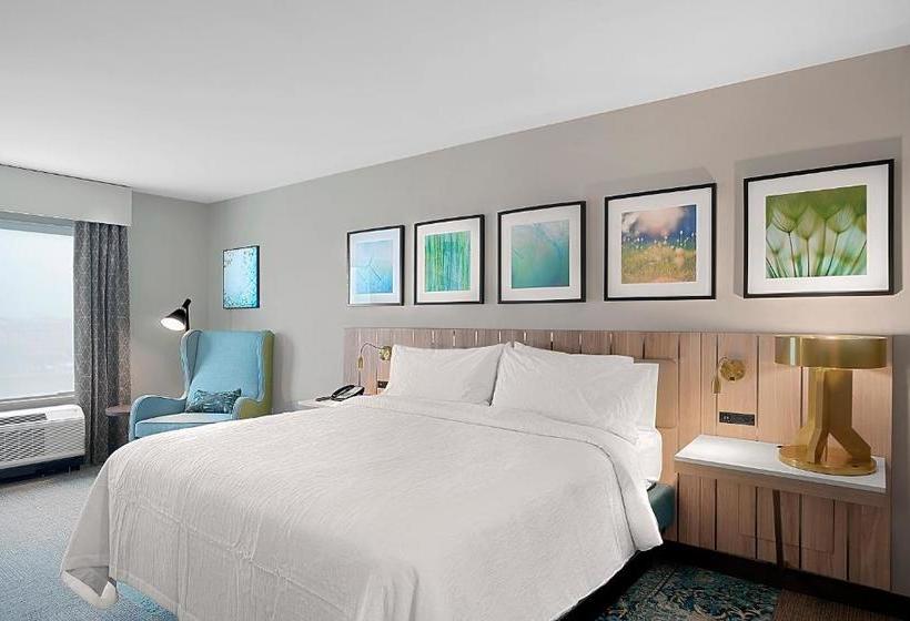 בית מלון כפרי Hilton Garden Inn Houston Hobby Airport, Tx