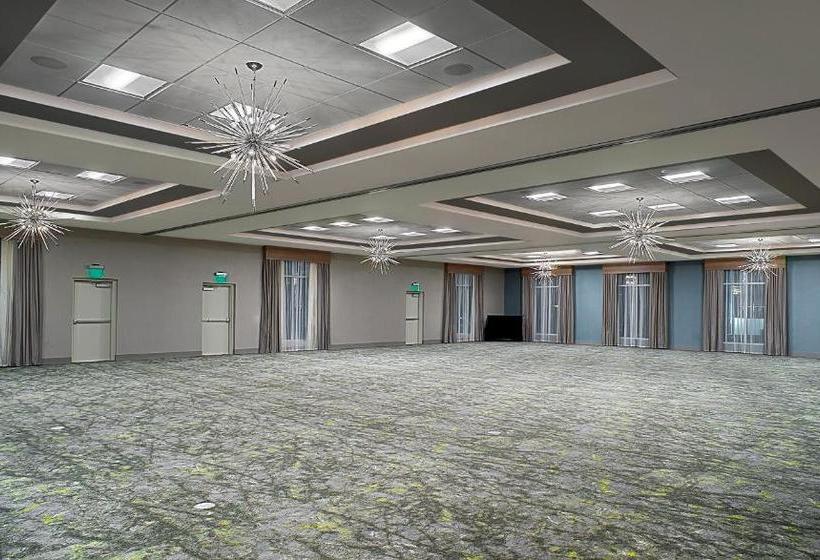 בית מלון כפרי Hilton Garden Inn Houston Hobby Airport, Tx