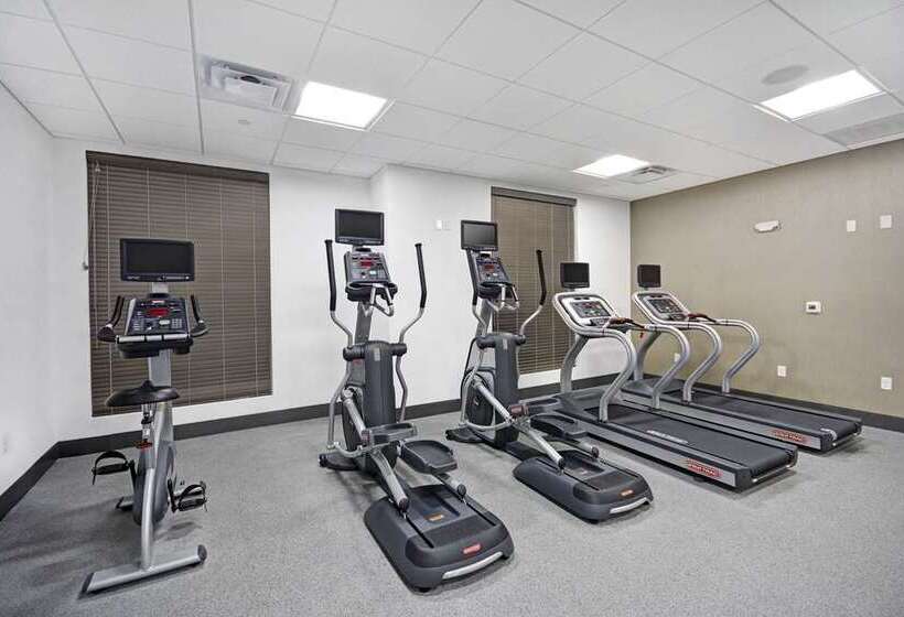 בית מלון כפרי Hilton Garden Inn Houston Hobby Airport, Tx