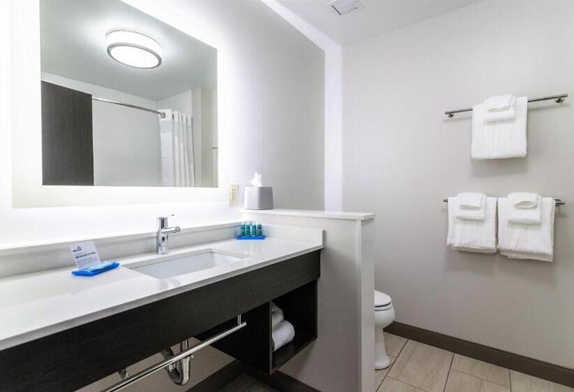 فندق Holiday Inn Express & Suites Allen Park, An Ihg