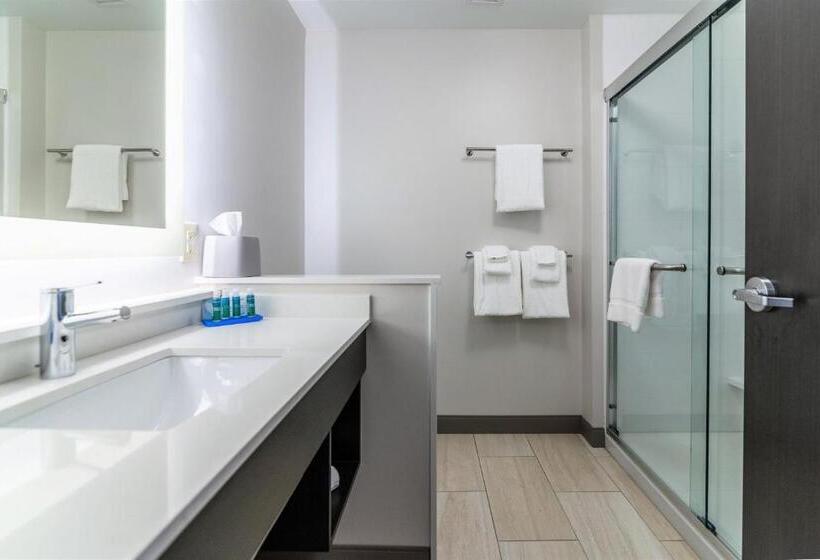 فندق Holiday Inn Express & Suites Allen Park, An Ihg