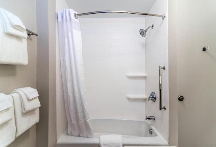 فندق Holiday Inn Express & Suites Allen Park, An Ihg