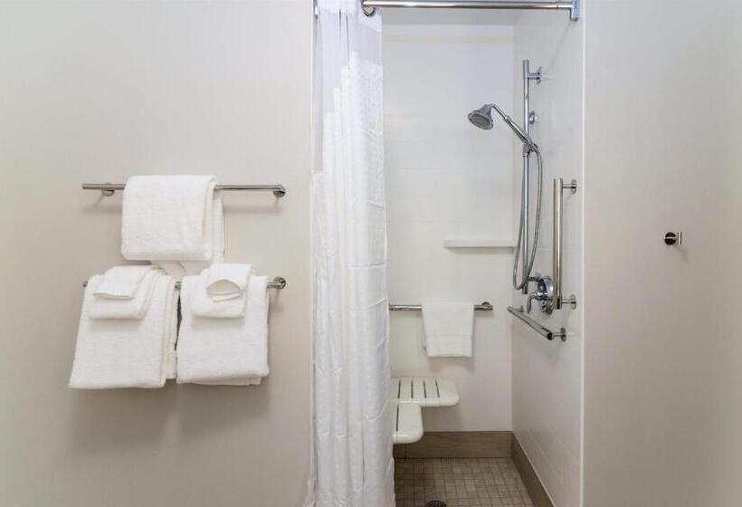 فندق Holiday Inn Express & Suites Allen Park, An Ihg