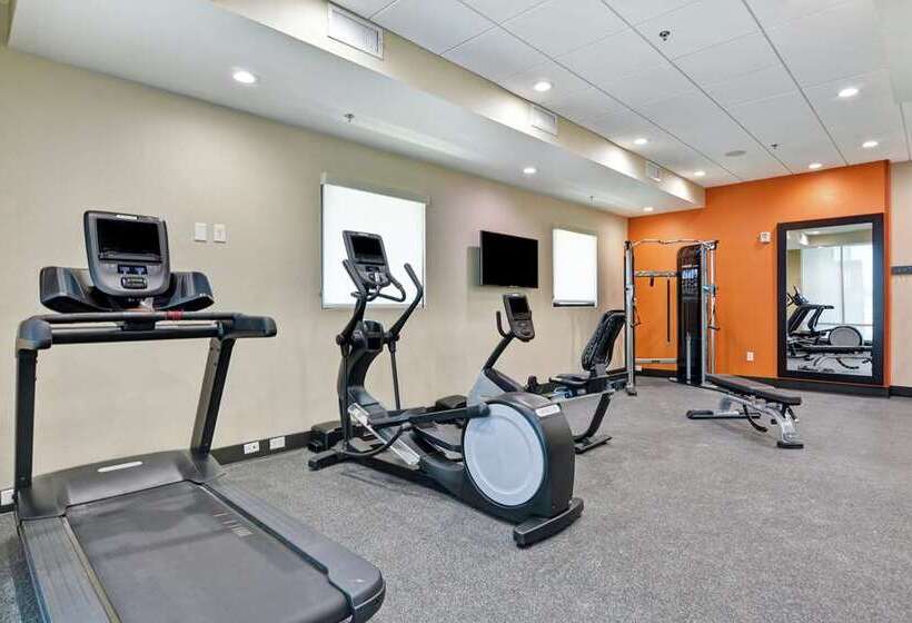 בית מלון כפרי Home2 Suites By Hilton Mckinney