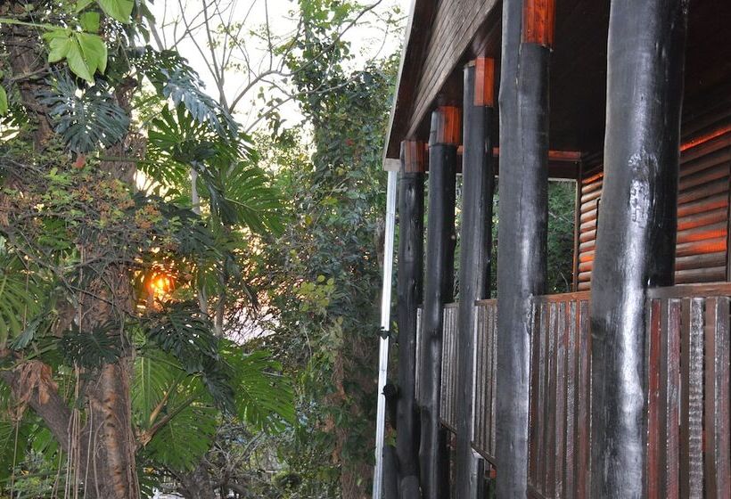 酒店 Impala Niezel Lodge