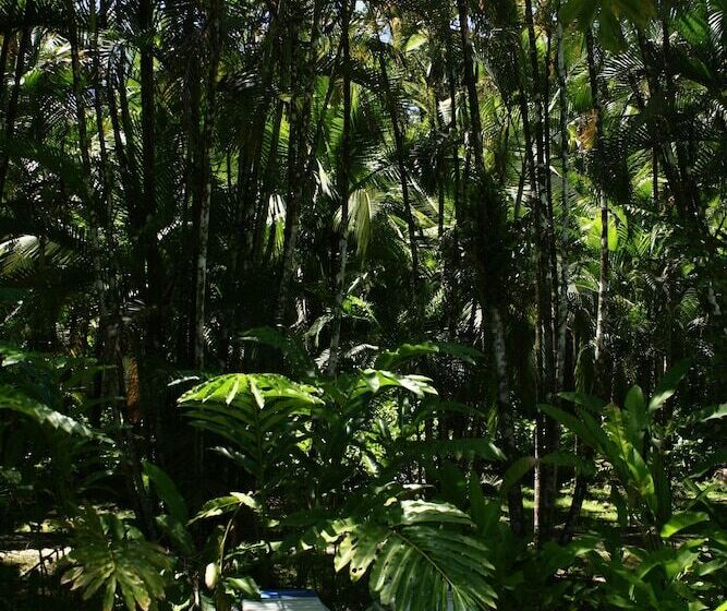 בית מלון כפרי Kasha