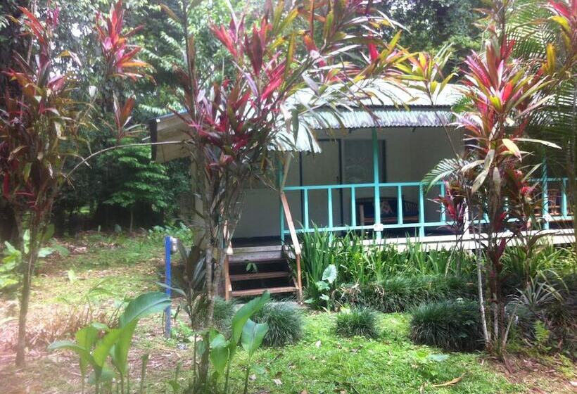 בית מלון כפרי Kasha