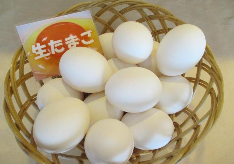 فندق Kitami Towa