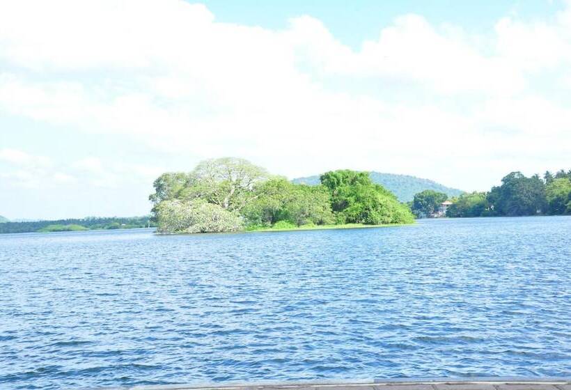 酒店 Leopard City Hostel