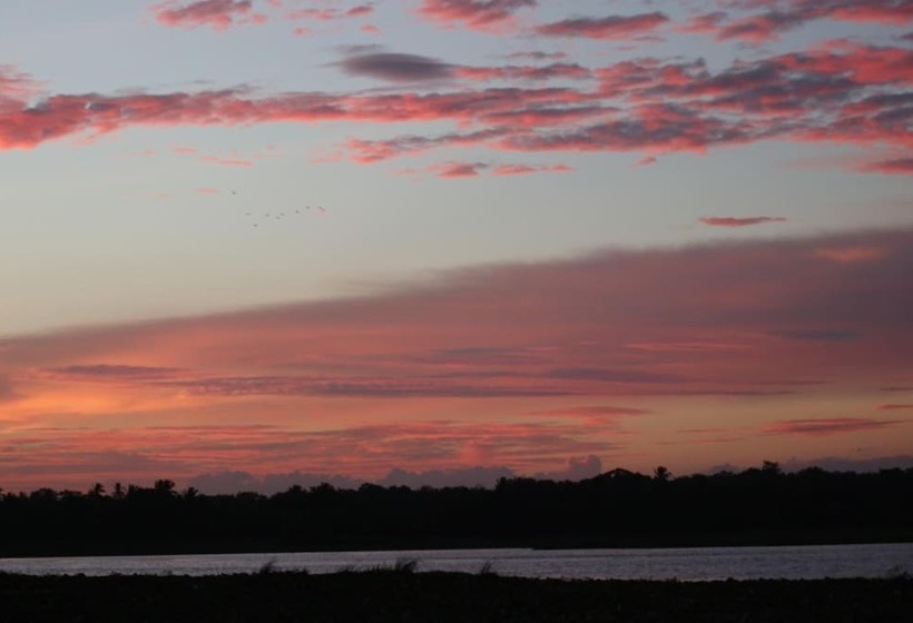 酒店 Leopard City Hostel