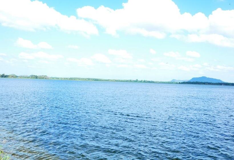 酒店 Leopard City Hostel