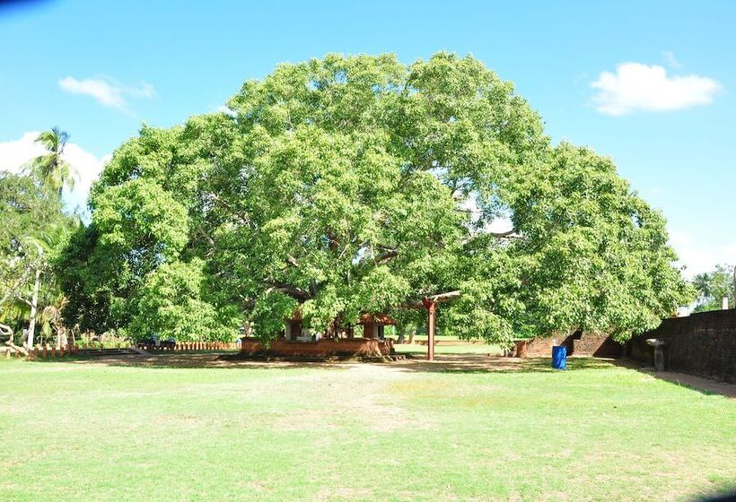 酒店 Leopard City Hostel