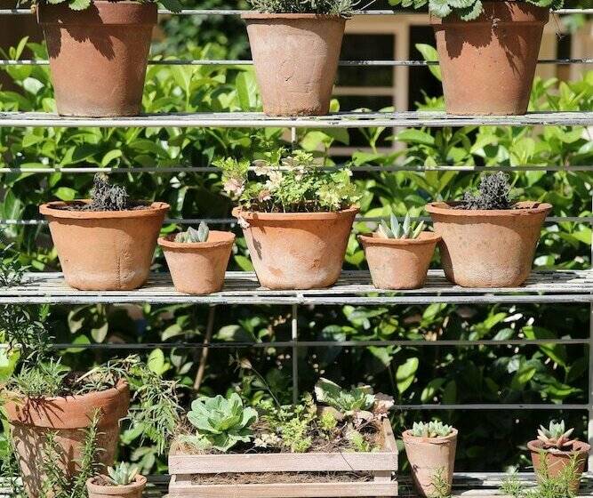 호텔 Lexden Guesthouse