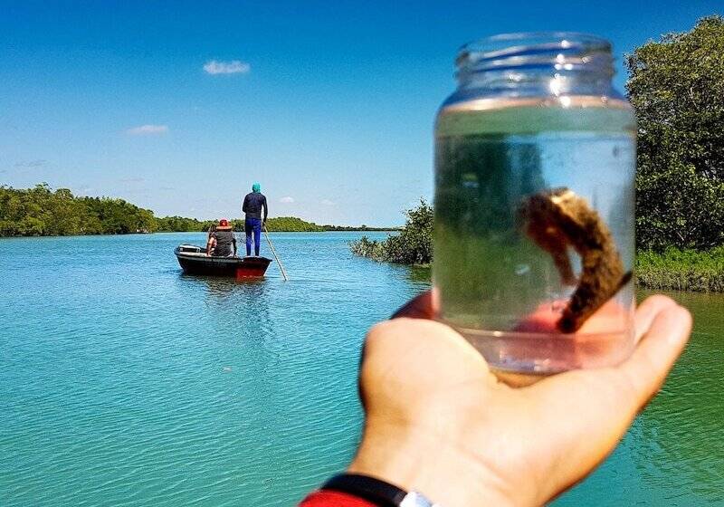 Mini Hotel Jericoacoara