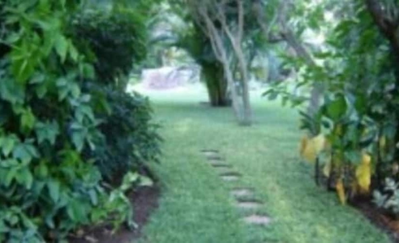 Отель Mist Of Gold