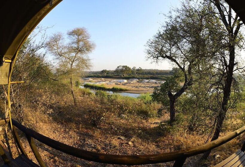 בית מלון כפרי Mtomeni Safari Camp