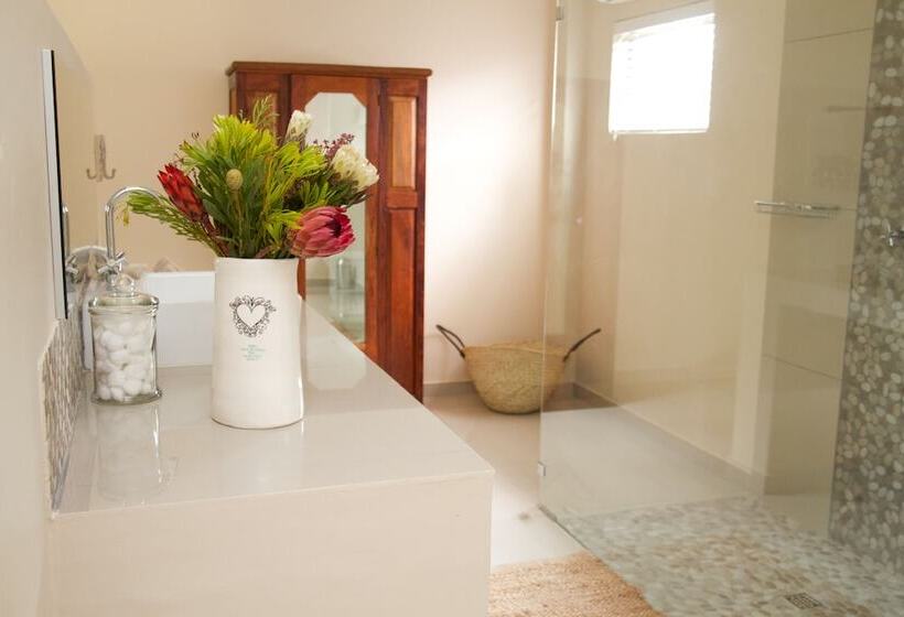 בית מלון כפרי Nuwerus Lodge Paarl