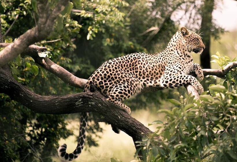 فندق Nyumbani Estate Bush Lodge   All Inclusive