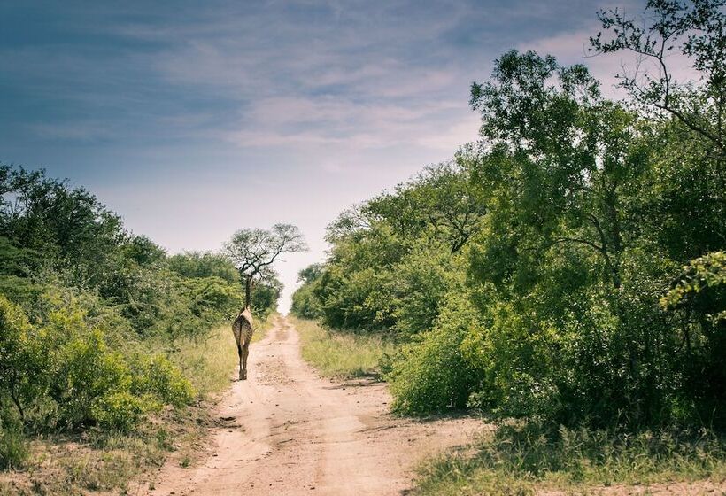 فندق Nyumbani Estate Bush Lodge   All Inclusive