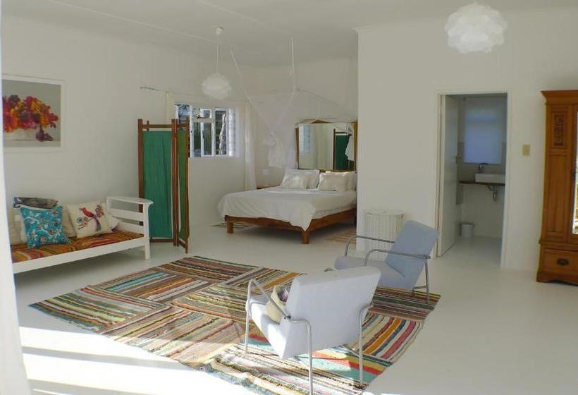 호텔 Pashasha Beach House