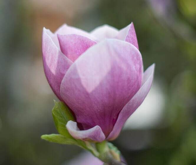 酒店 Garni Pod Skalkou