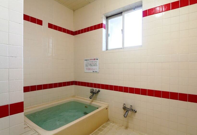 Отель Pension Saint Paulia