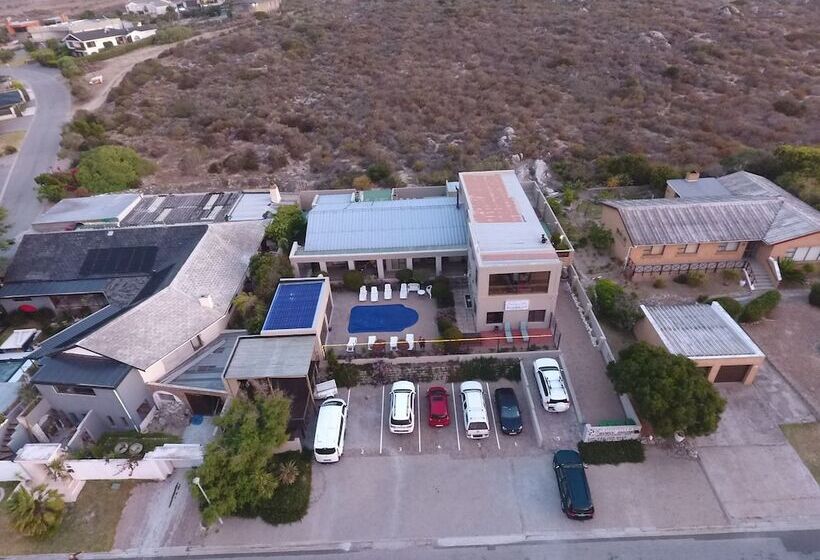 酒店 Seagulls Guest House