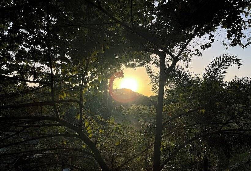 호텔 Sigiriya Rock Gate Resort