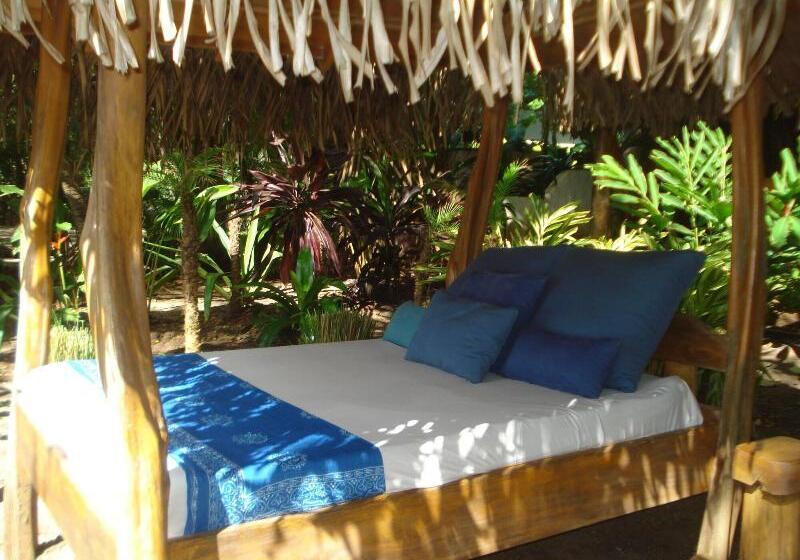 ホテル Sueno Del Mar Beachfront