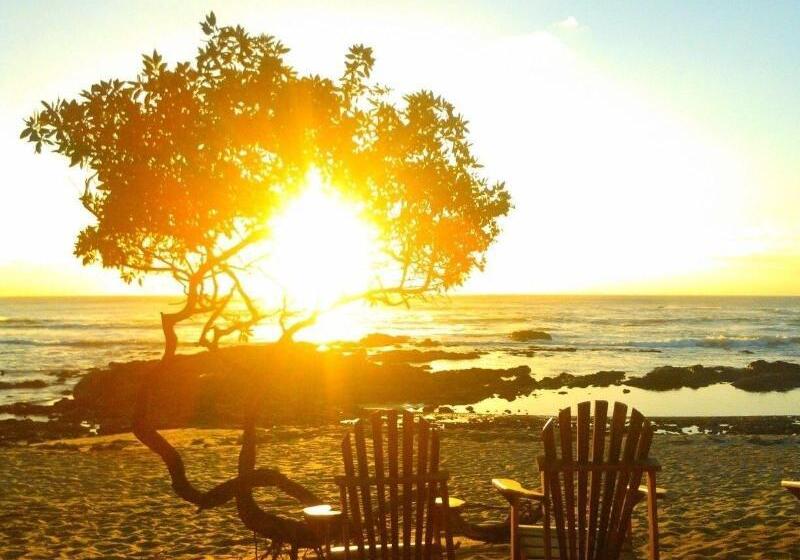 ホテル Sueno Del Mar Beachfront