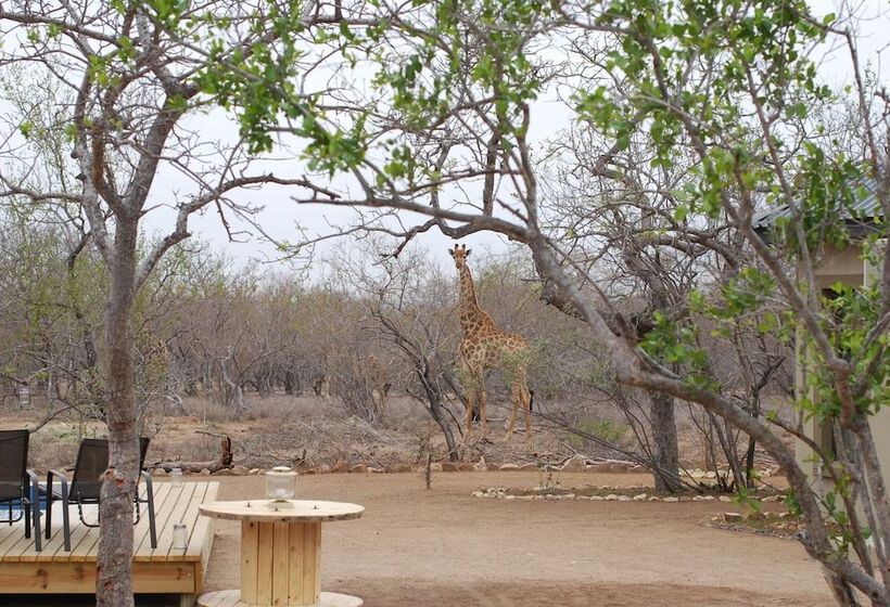 فندق The Baobab Bush Lodge, No Self Catering